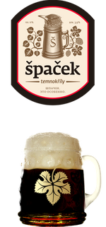 špaček temnokřílý