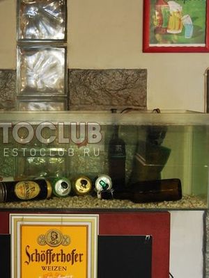 Подстреленная гусыня в Графском