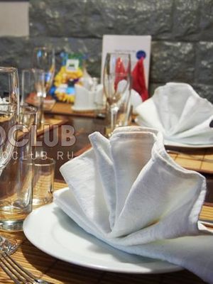 Подстреленная гусыня в Графском