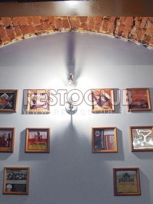 Подстреленная гусыня в Графском