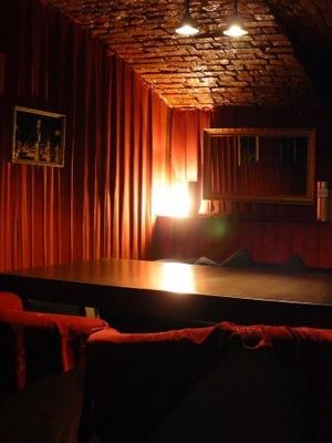 Blue bird / Синяя птица (ЗАКРЫТ)