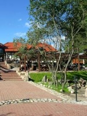Карл и Фридрих