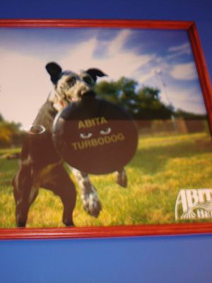 Пинта на 8 Советской (ЗАКРЫТ)