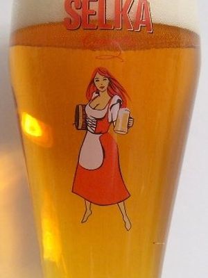 Cervena Selka svetle(Россия) Cervena Selka svetle(Россия)