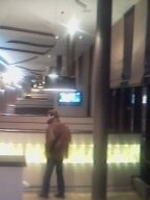 Пивная дрожжь