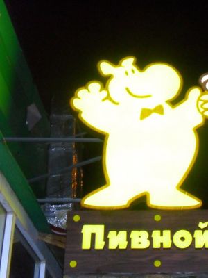 Бегемот, пивной клуб