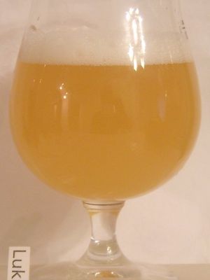 Hoegaarden witbier-biere blanche Hoegaarden witbier-biere blanche