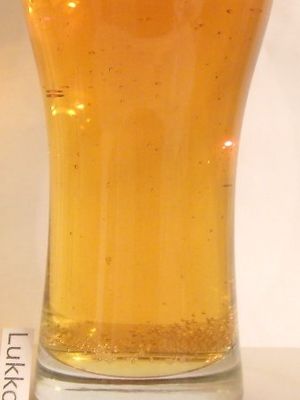 Gambrinus premium Gambrinus premium