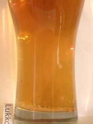Budweis Bohemia Premium světlý ležák Budweis Bohemia Premium světlý ležák