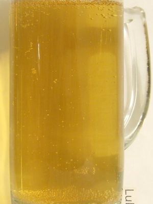 Herborner Barenbrau Pils Herborner Barenbrau Pils