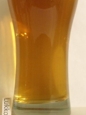 Svatopramen Pilsner Svatopramen Pilsner