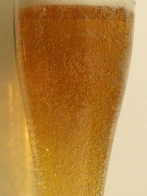 Svatopramen Svetle Lezak