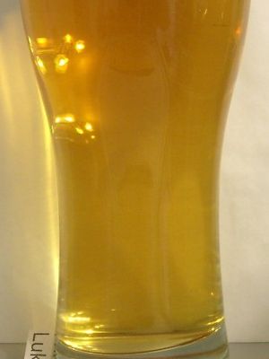 Gold Gans Bier (Пенза-Очаково) Gold Gans Bier (Пенза-Очаково)