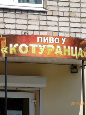 У Котуранца