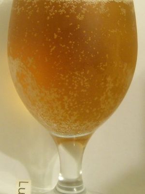 Harp Lager Harp Lager