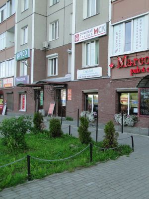 Марко Поло на Ленсовета