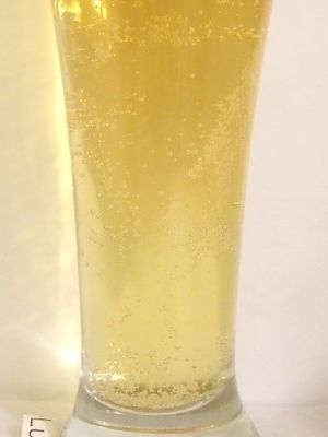 Tsingtao Tsingtao