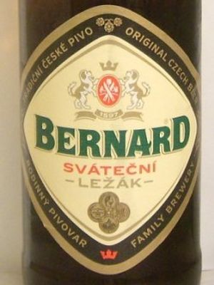 Bernard Svatecni Lezak Bernard Svatecni Lezak