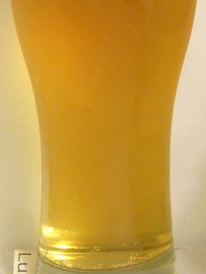 Darguner Pilsener Darguner Pilsener