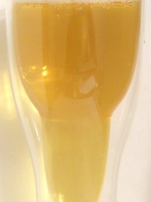 Singha lager