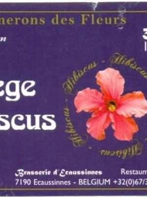 Florilege d'Hibiscus Florilege d'Hibiscus