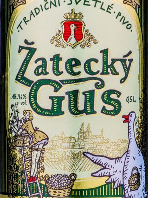 Zatecky Gus /Жатецкий гусь (Россия) Zatecky Gus /Жатецкий гусь (Россия)