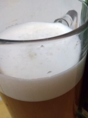 Vermont Nitro IPA