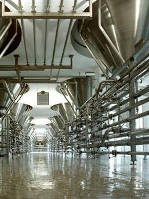 Ayinger-Brewery
