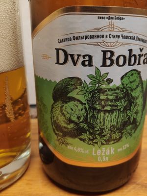 Dva Bobra Lezak