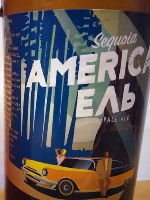 American Ель