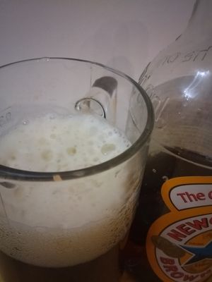 Newcastle Brown Ale Newcastle Brown Ale