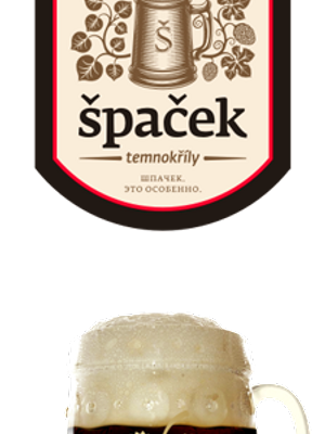 špaček temnokřílý